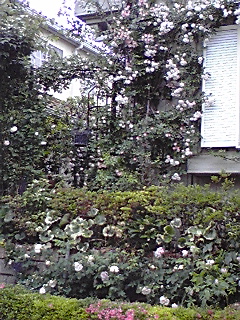 f0049813_18191669.jpg