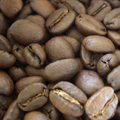 c0036617_20392139.jpg