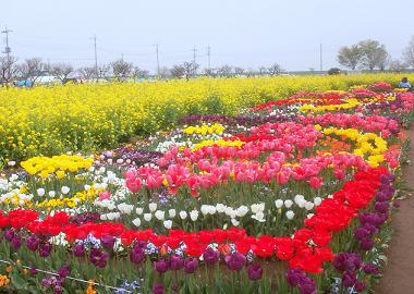 a0053420_20291096.jpg