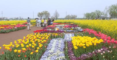a0053420_20442325.jpg