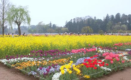 a0053420_20494256.jpg