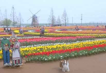 a0053420_21155130.jpg
