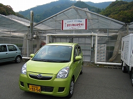 e0002820_6242934.jpg