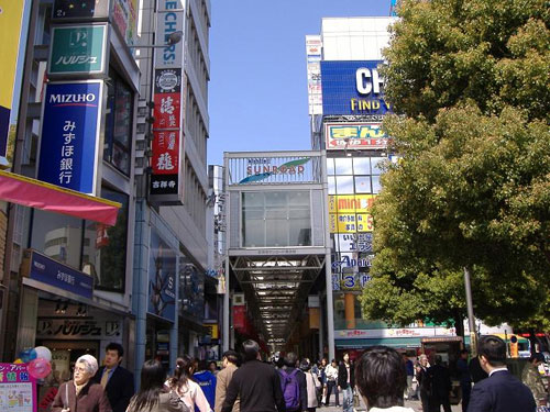 d0130021_364677.jpg