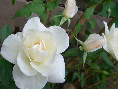 b0128423_13381986.jpg