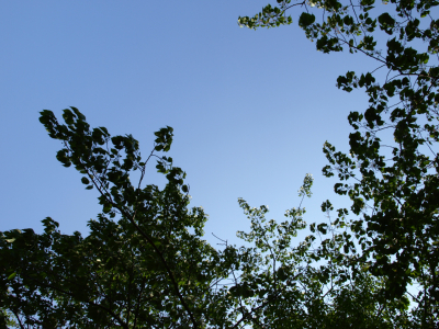 b0116928_20585645.jpg