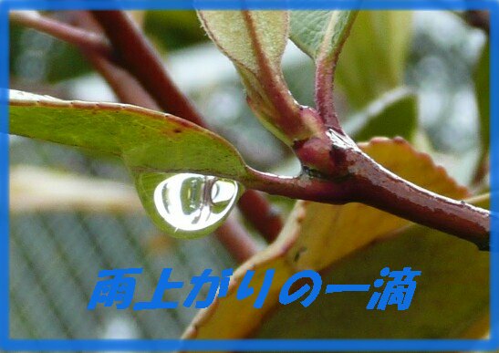 c0009528_7541561.jpg