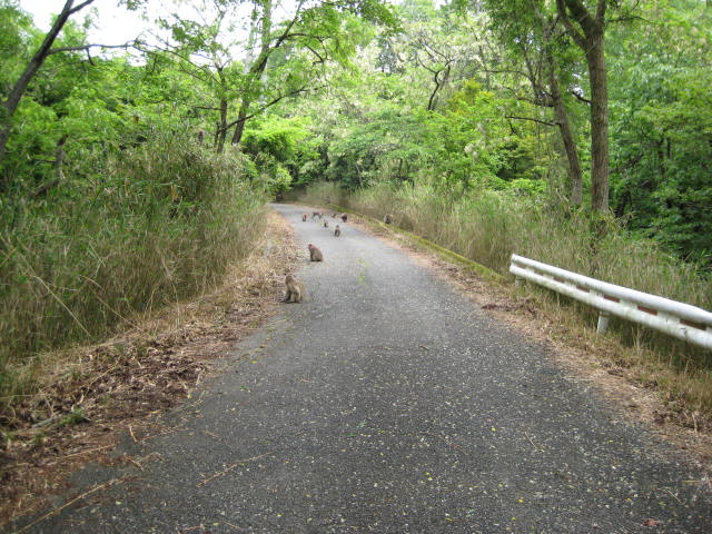 f0009128_1635457.jpg