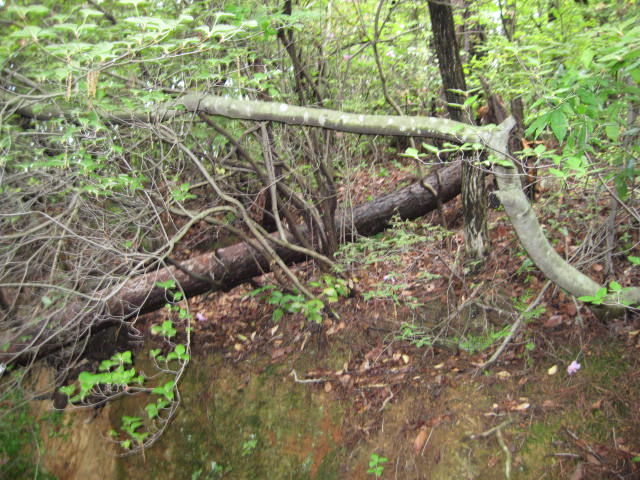 f0009128_16363920.jpg