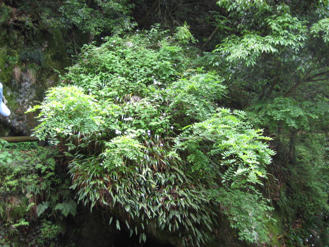 f0009128_1636524.jpg