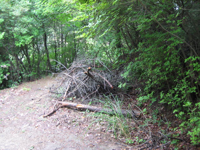 f0009128_16365413.jpg
