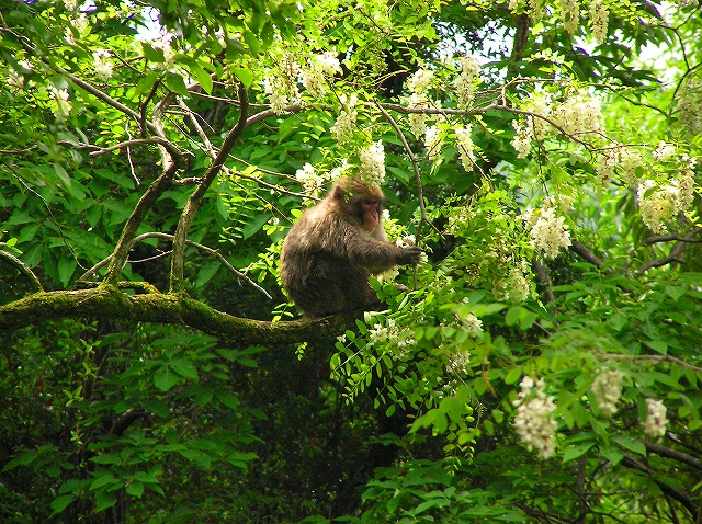 f0009128_203377.jpg