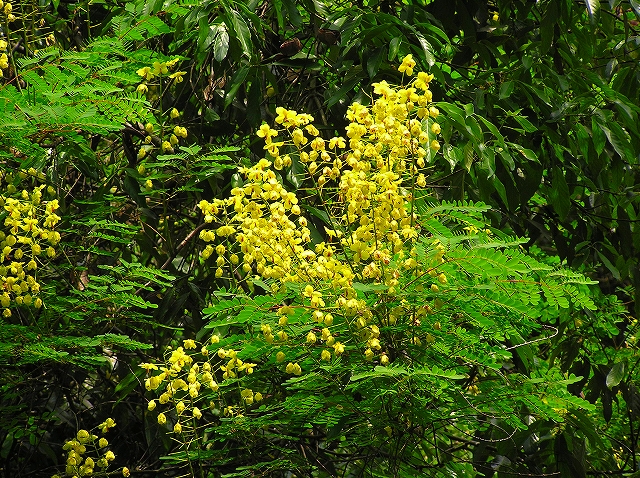 f0009128_2044972.jpg