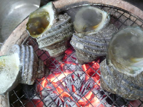 f0060530_23405025.jpg