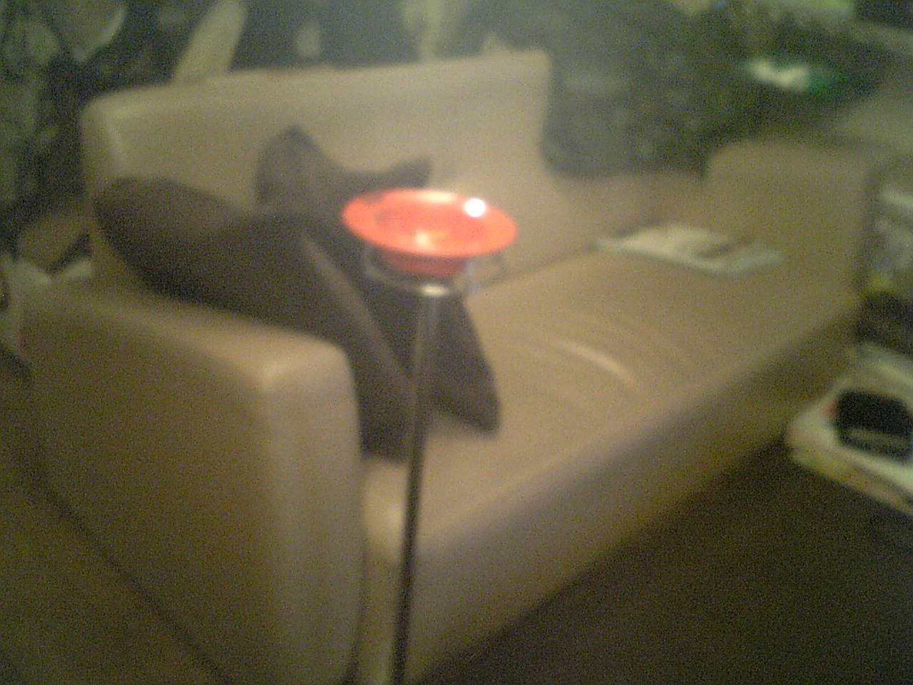 c0152037_1153571.jpg