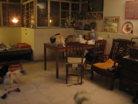 e0018143_14133914.jpg