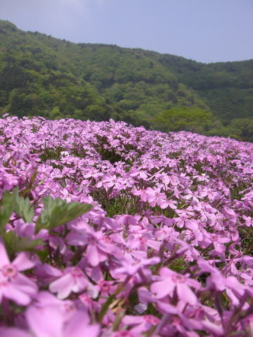 f0094843_1214162.jpg