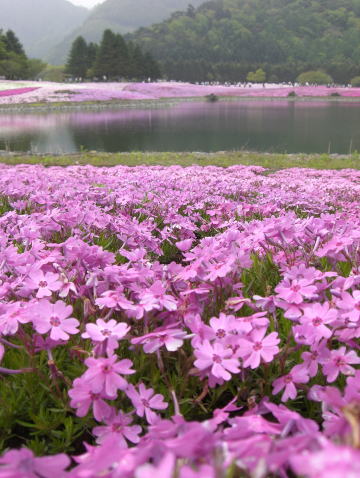 f0094843_1225480.jpg