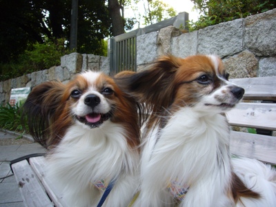 e0100046_21382431.jpg