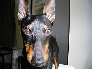 c0123149_1372563.jpg