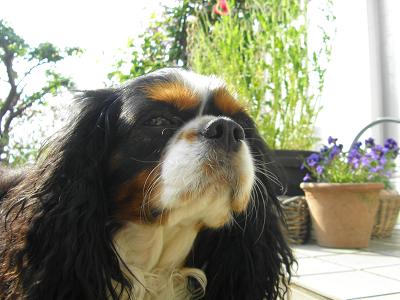 c0145250_11584981.jpg