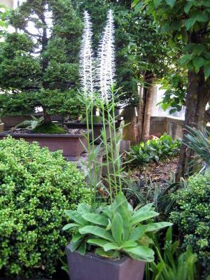 c0147952_21152414.jpg
