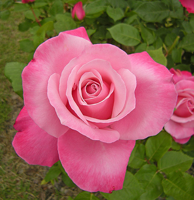 a0001354_2037141.jpg