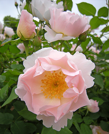 a0001354_2042334.jpg
