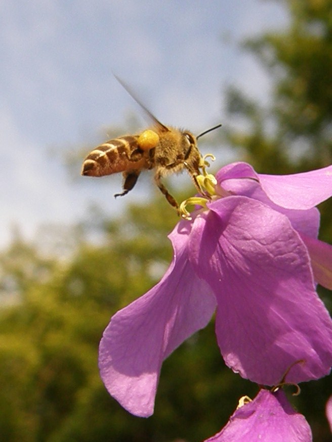 e0064158_1361094.jpg