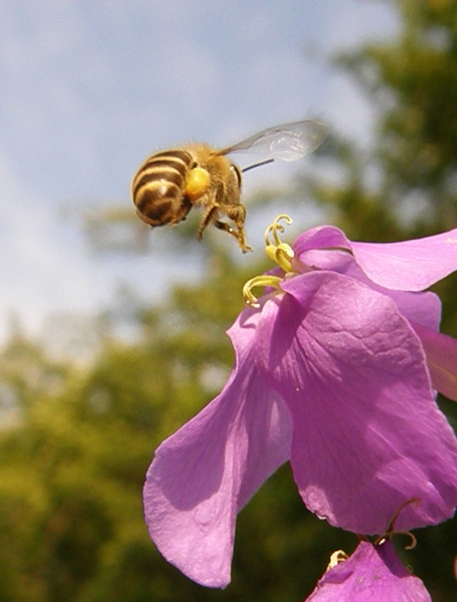 e0064158_1362470.jpg