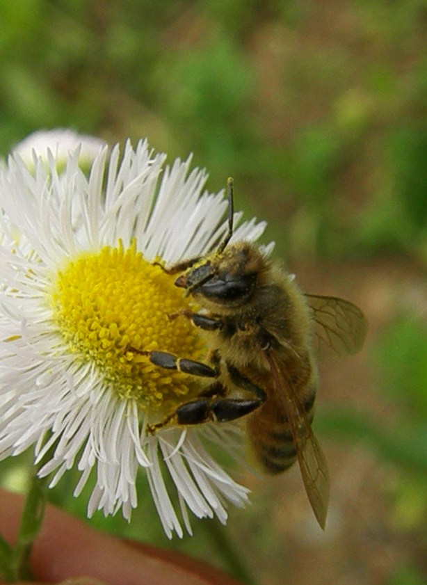 e0064158_1363886.jpg