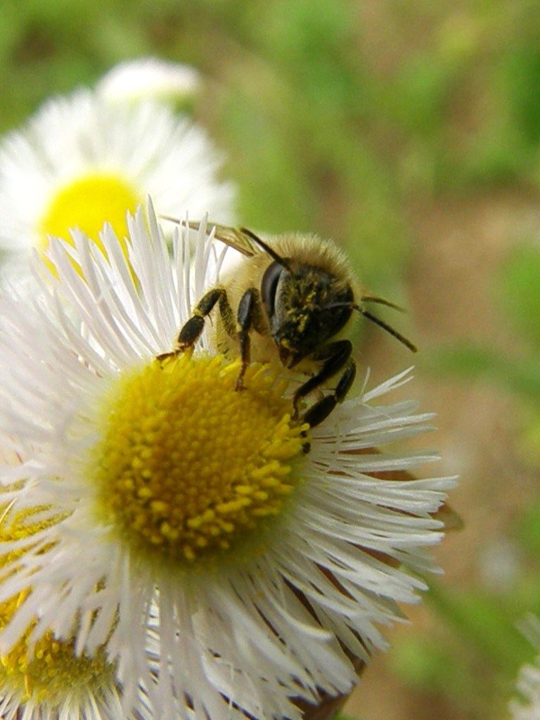 e0064158_1365111.jpg