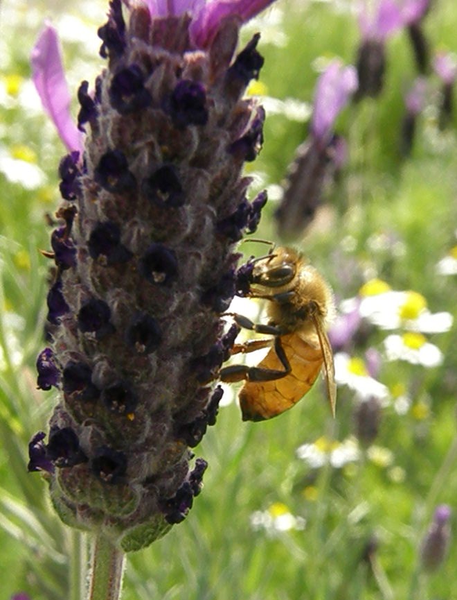 e0064158_1391479.jpg