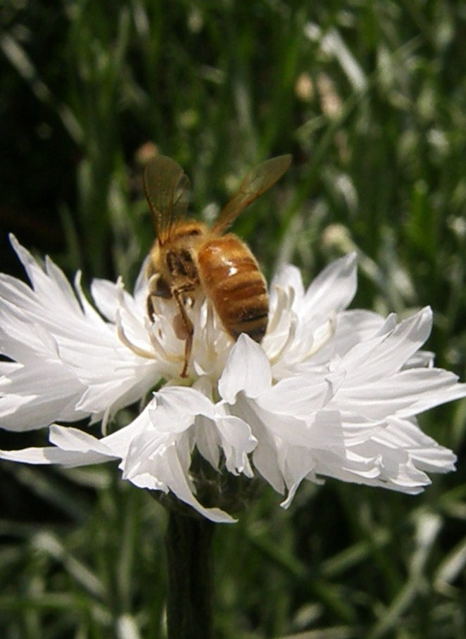 e0064158_1394377.jpg