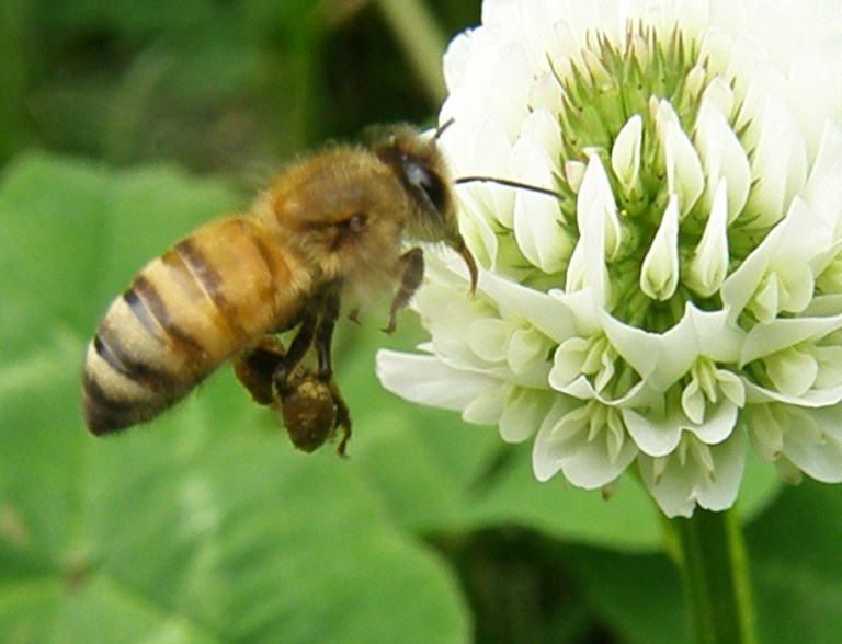 e0064158_1401297.jpg