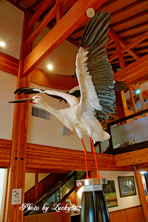 e0002371_16321387.jpg