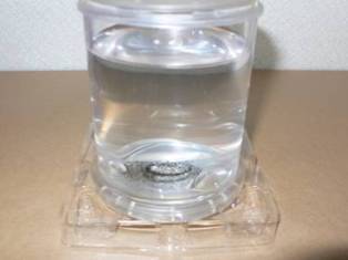 e0004173_916244.jpg