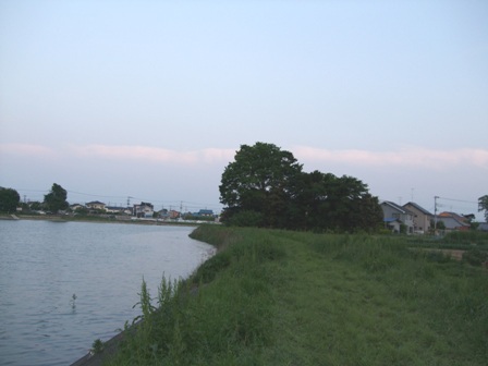 c0078480_1152323.jpg