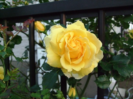 c0078480_23555051.jpg