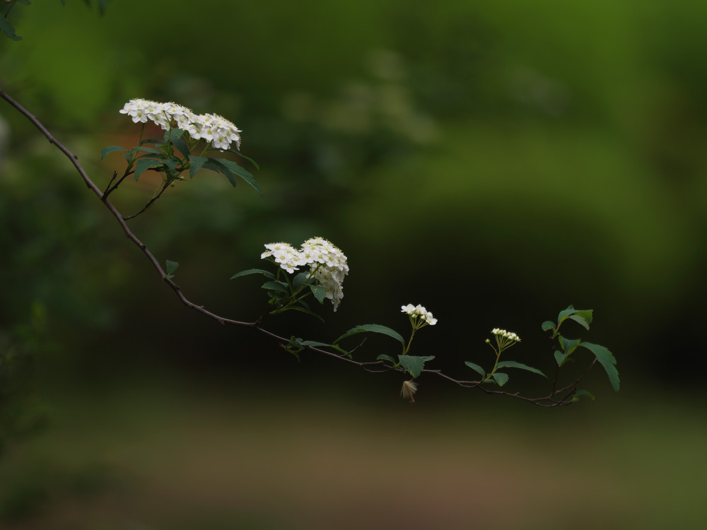 a0083081_1622681.jpg