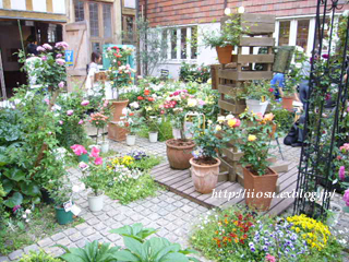 f0091282_19441646.jpg