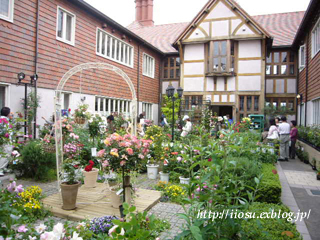 f0091282_19442768.jpg