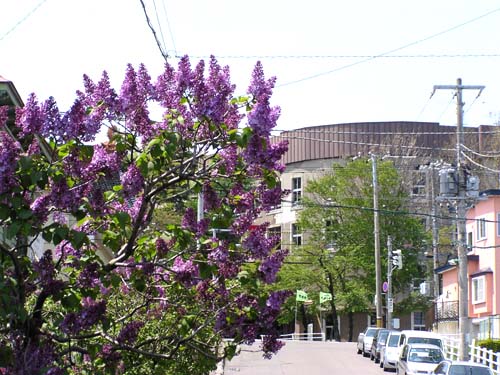 f0092382_11425888.jpg