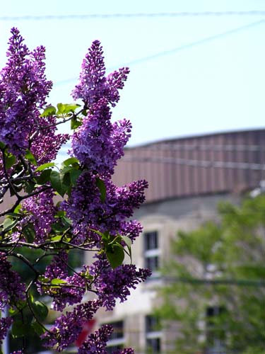 f0092382_1143142.jpg