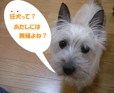e0066883_2012259.gif