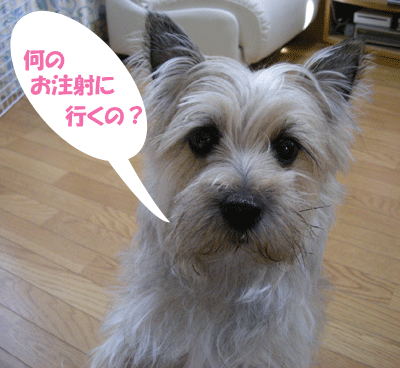 e0066883_2012786.gif