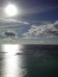 e0033384_1619983.jpg