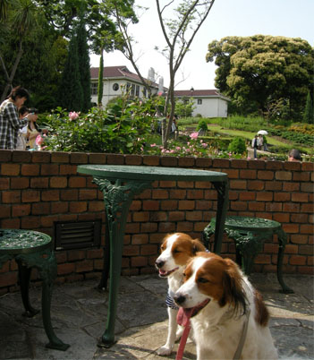 d0001985_142432.jpg