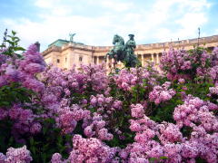 f0060585_20471265.jpg
