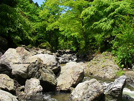 c0136486_18195366.jpg